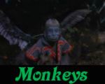 Monkeys Gallery