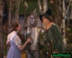 Tin man1