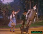 Tin man2